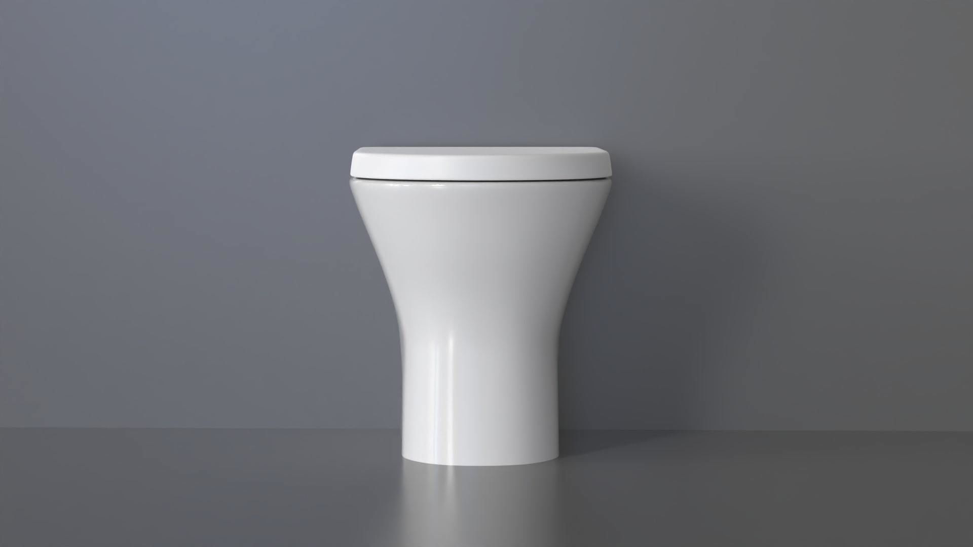 WC19 Toilet 3D model_4