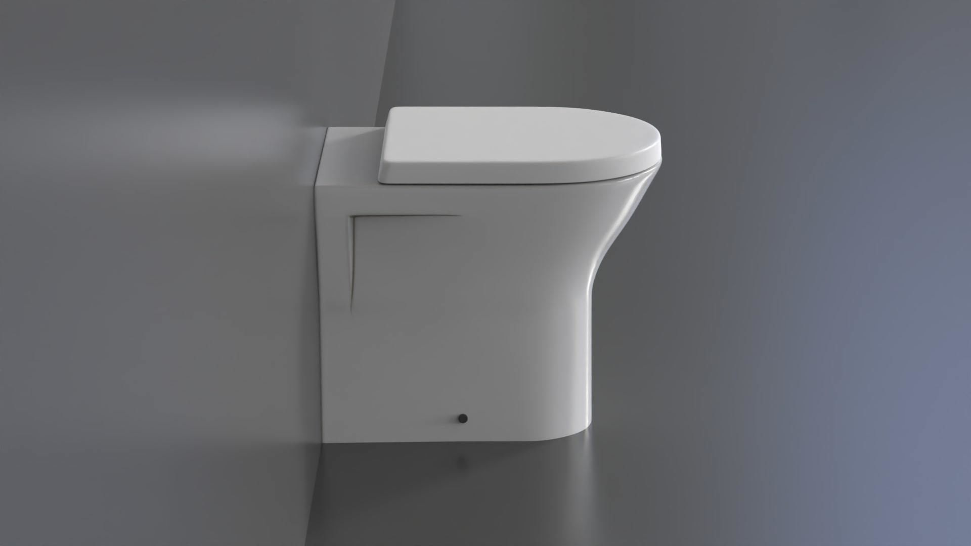 WC19 Toilet 3D model_1