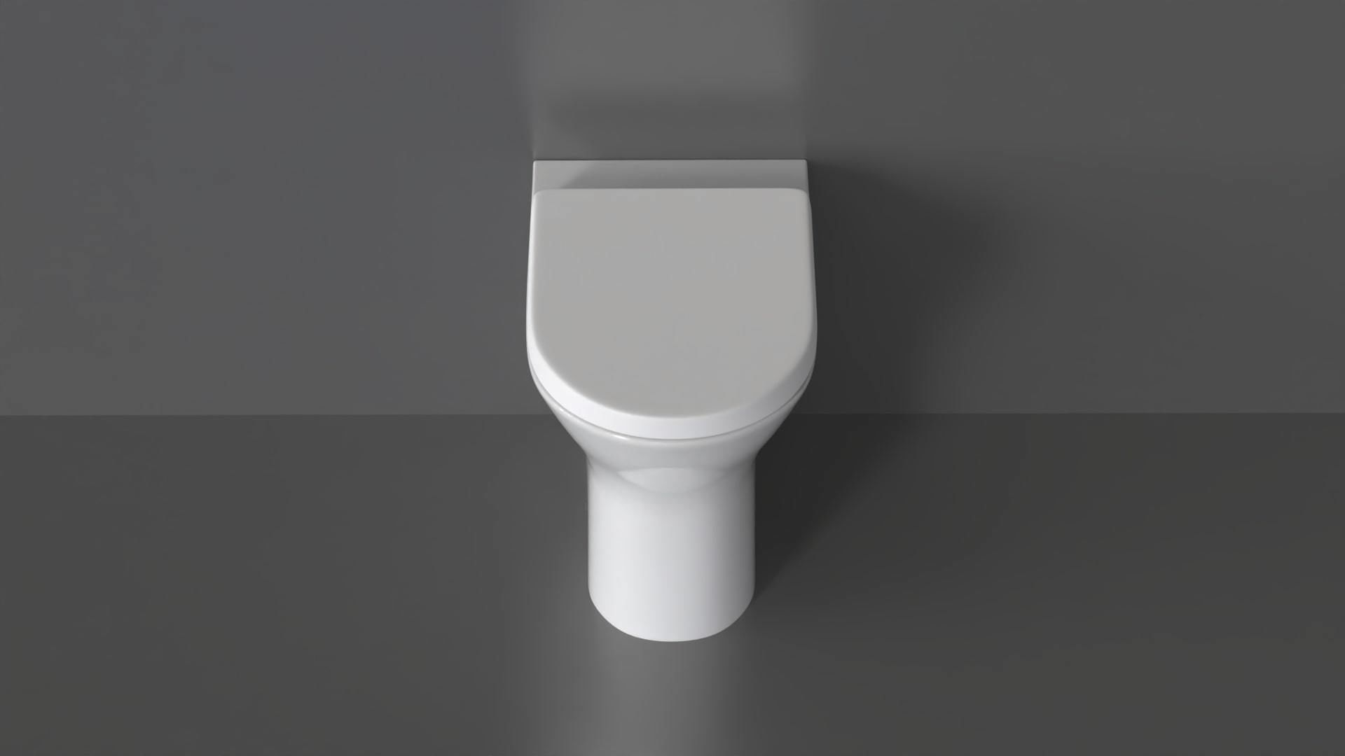 WC19 Toilet 3D model_5