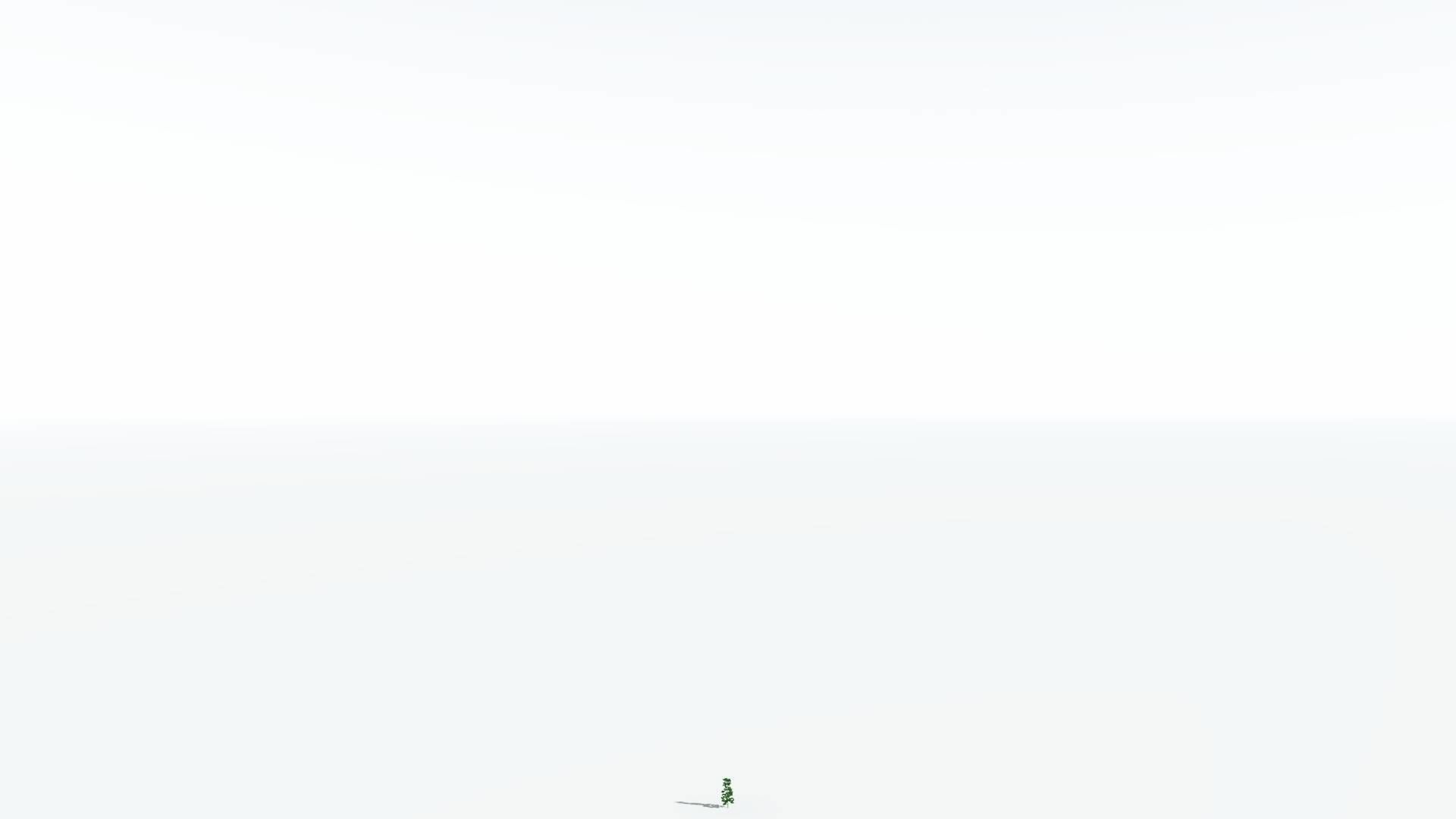 EVERYPlant Cordaites 1 --12 Models-- 3D model_20