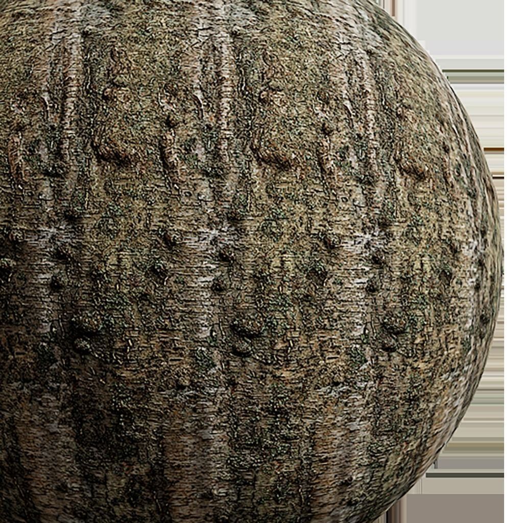Bark Seamless Texture 2K - EXR 5 - JPG 5 Texture Texture_1