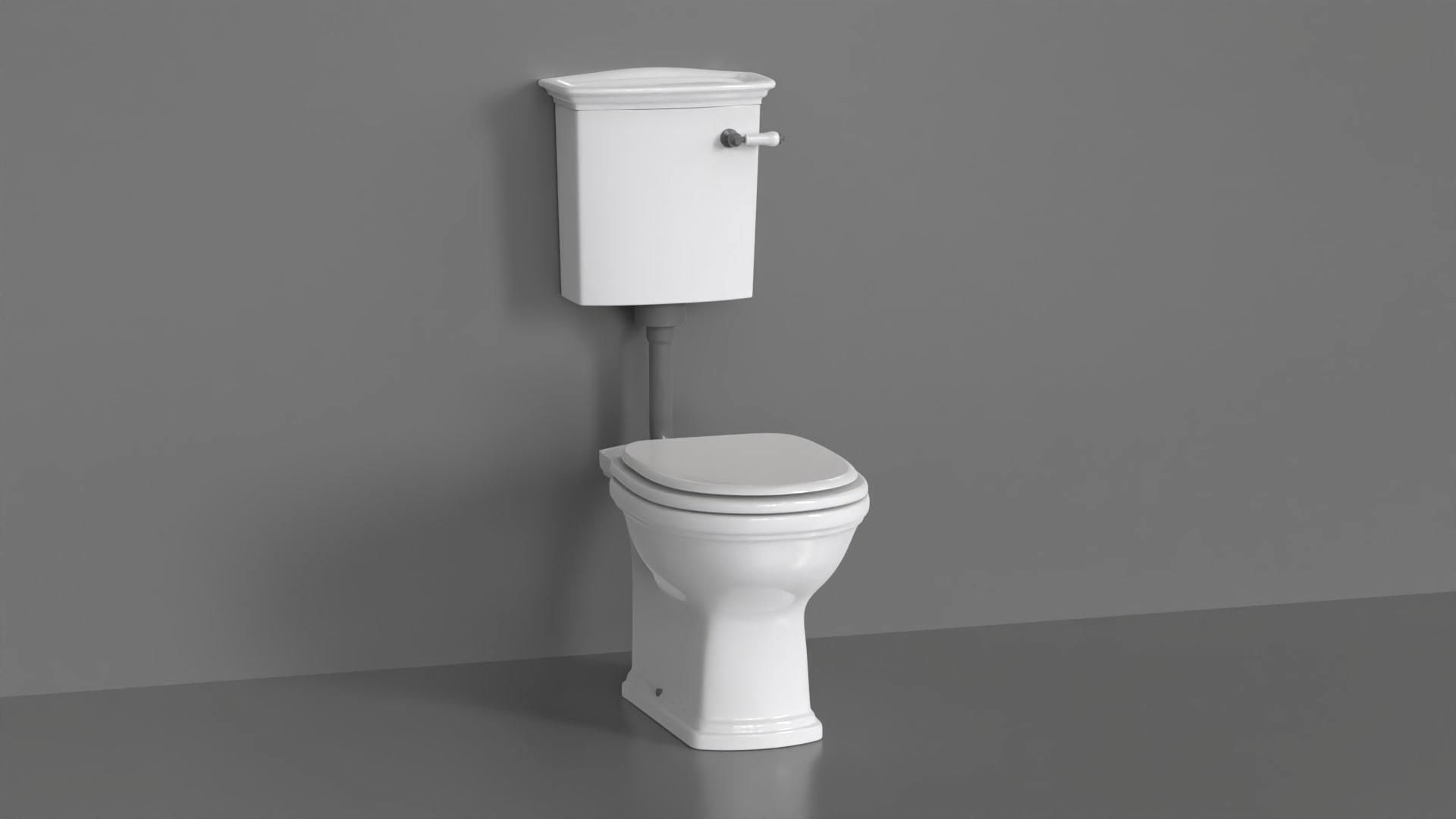 WC24 Toilet 3D model_3