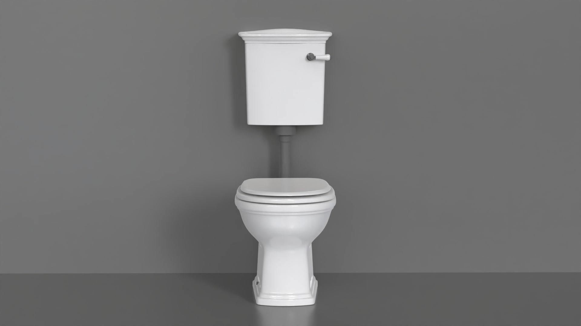 WC24 Toilet 3D model_4