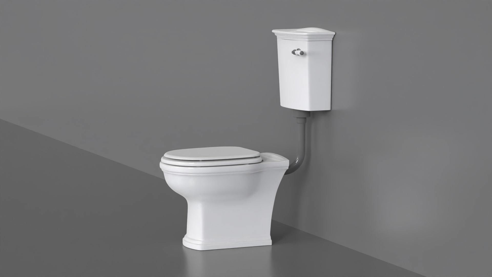 WC24 Toilet 3D model_9