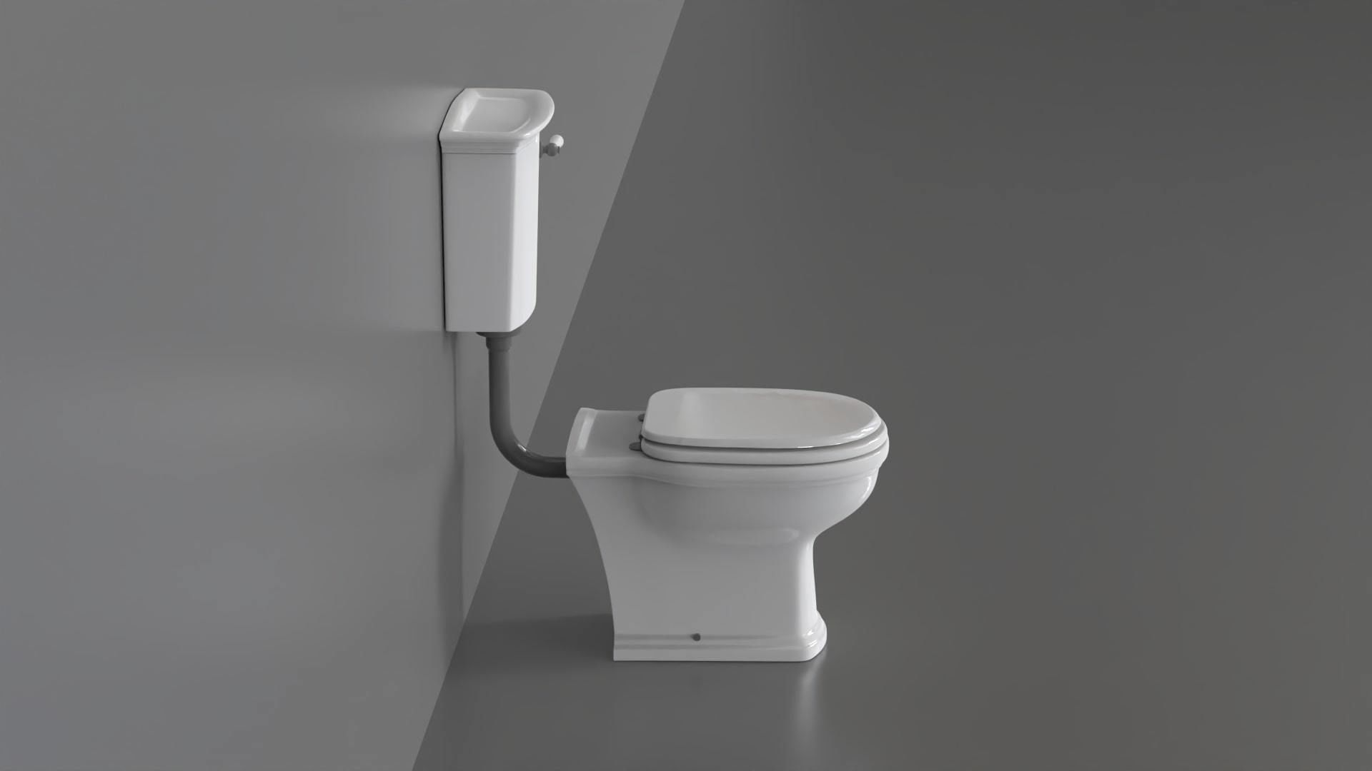 WC24 Toilet 3D model_1