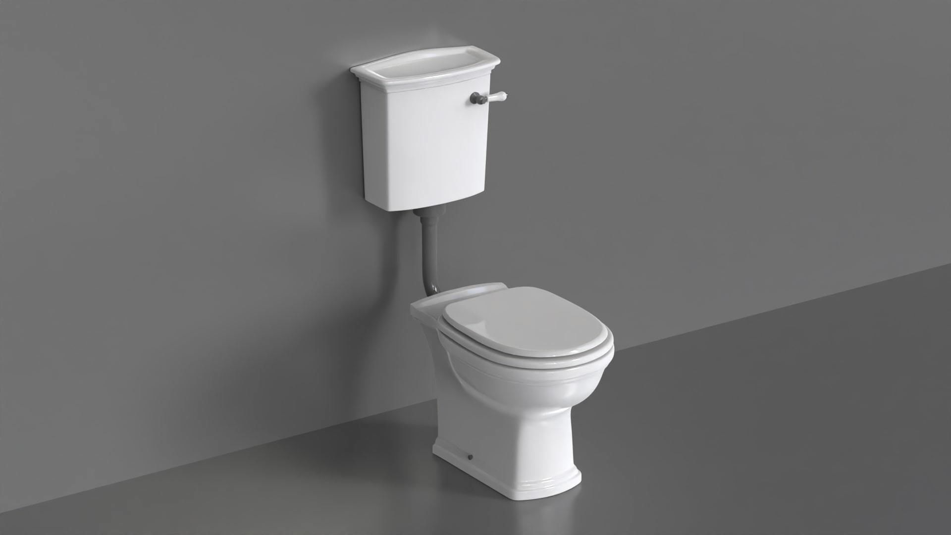 WC24 Toilet 3D model_2