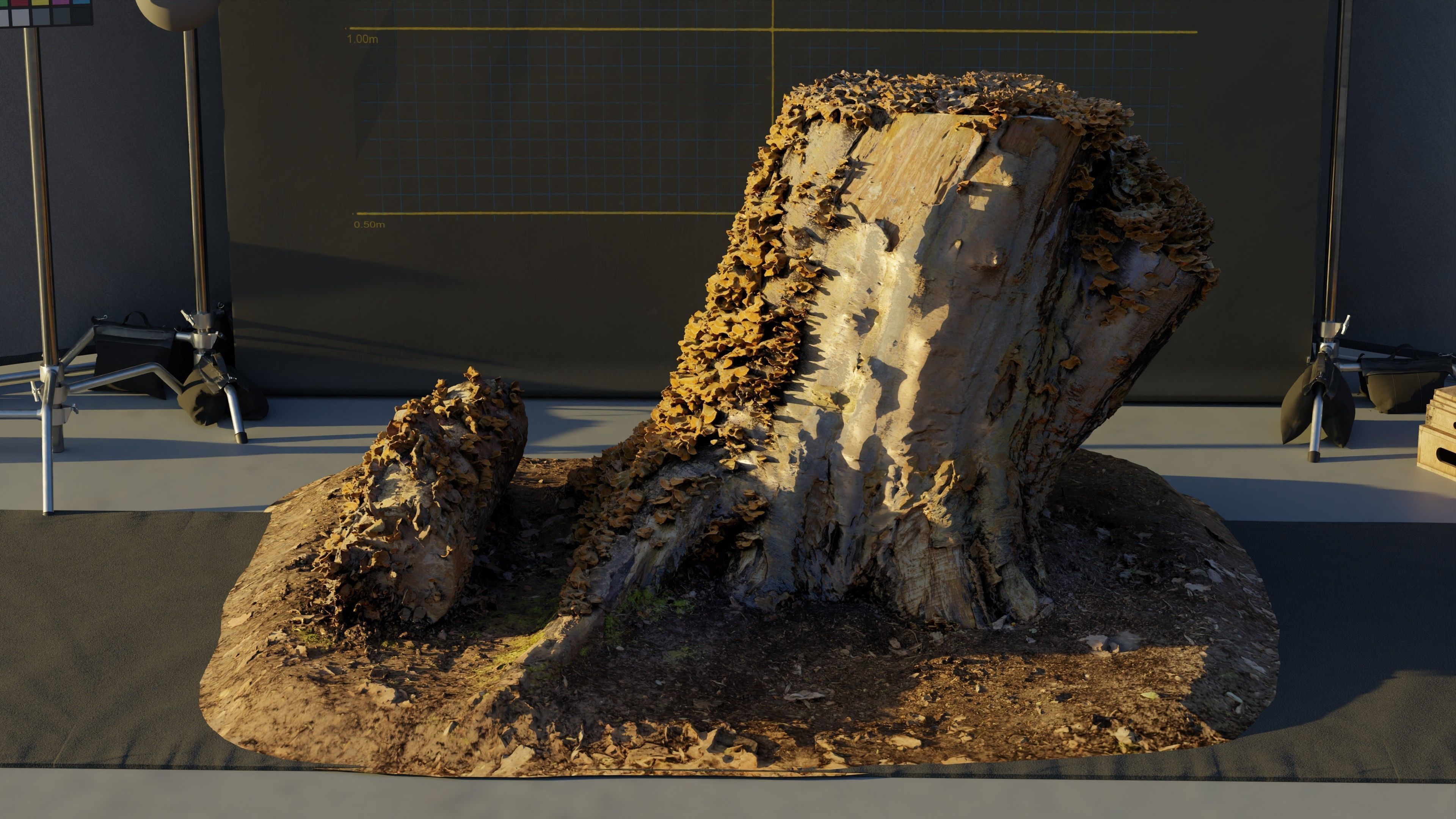 Photogrammetry Model of a Tree Stump with Bracket Fungi Low-poly 3D model_3