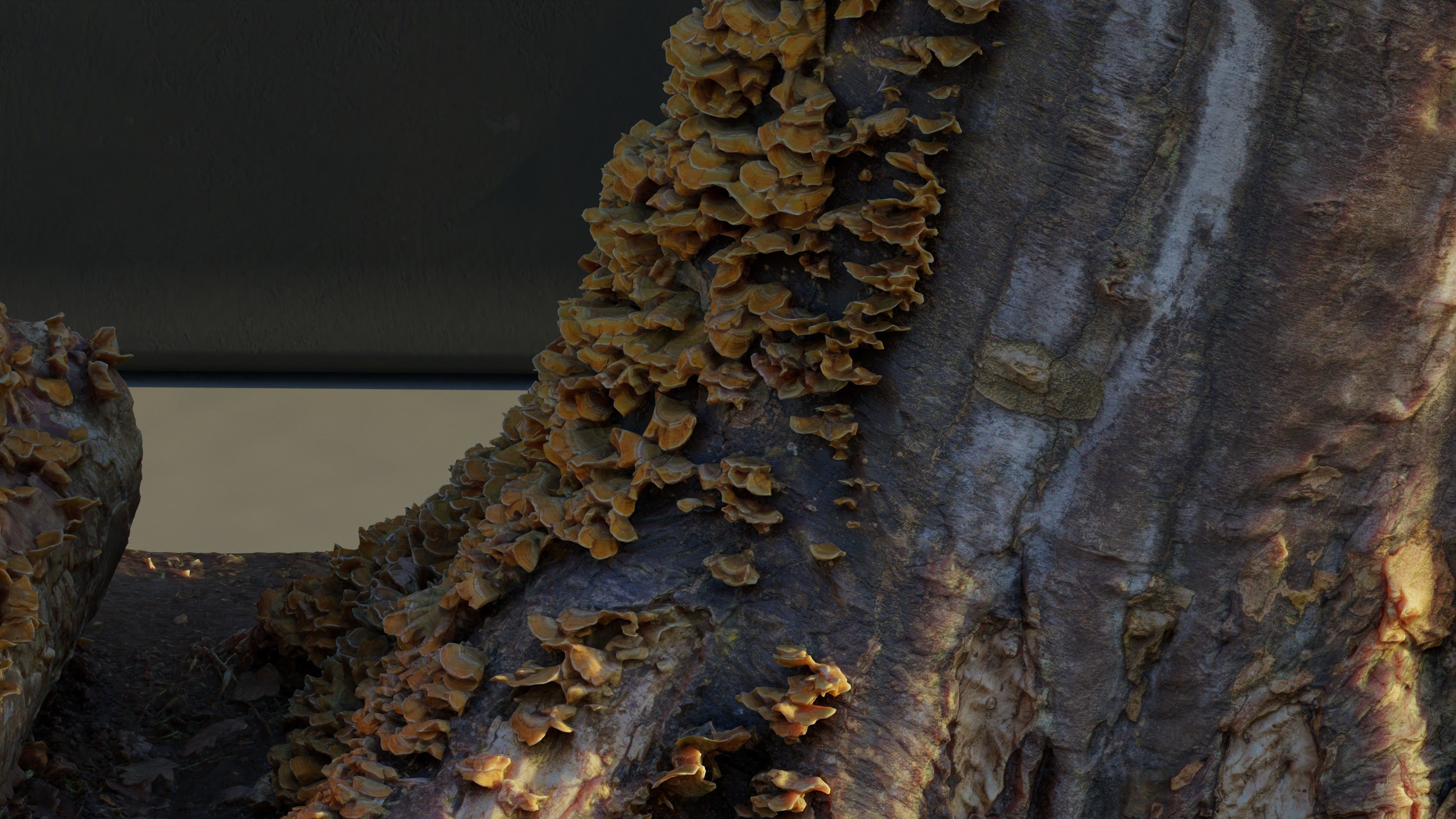 Photogrammetry Model of a Tree Stump with Bracket Fungi Low-poly 3D model_5