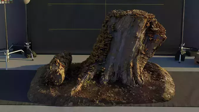 Photogrammetry Model of a Tree Stump with Bracket Fungi