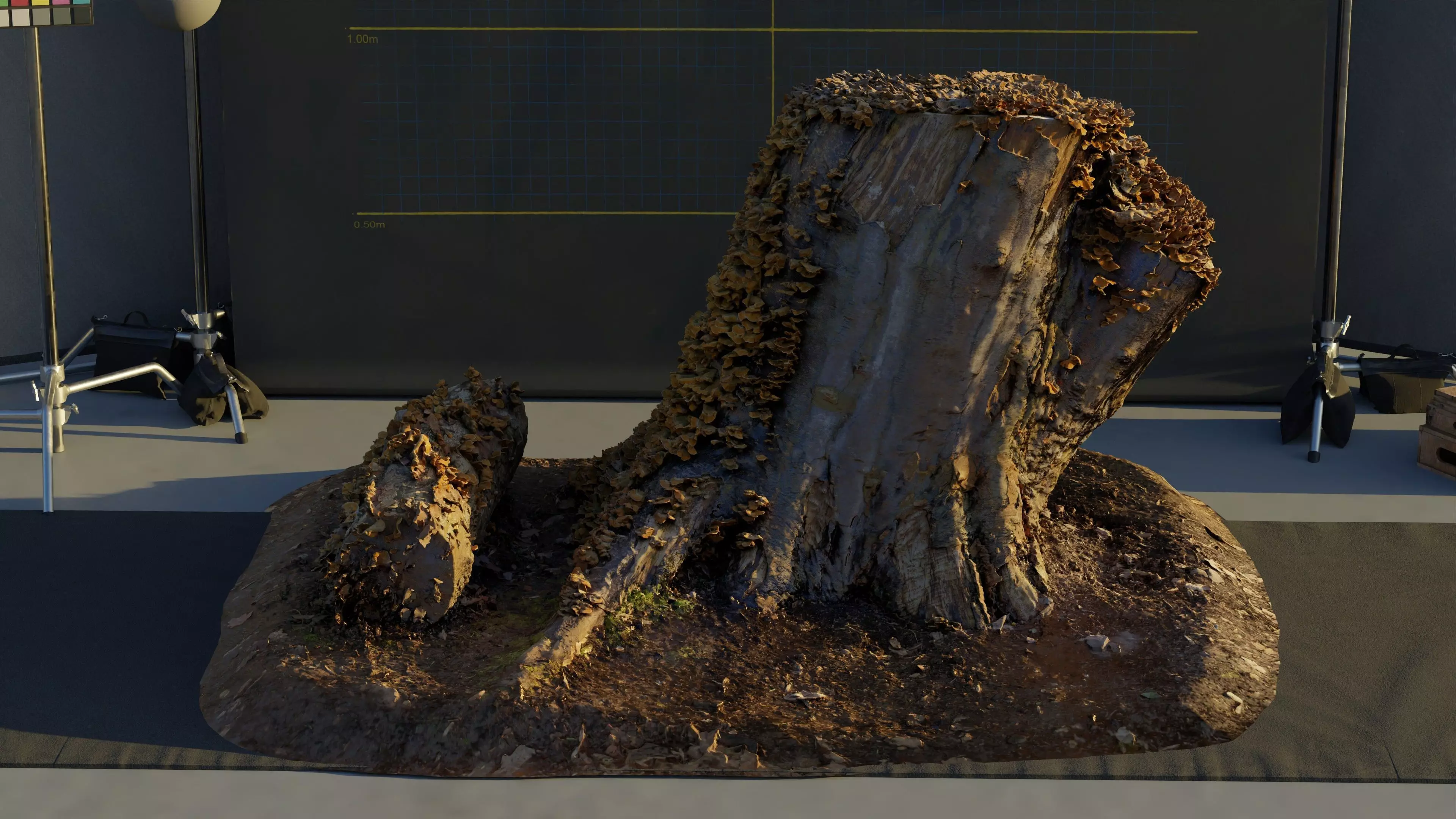 Photogrammetry Model of a Tree Stump with Bracket Fungi Low-poly 3D model_0