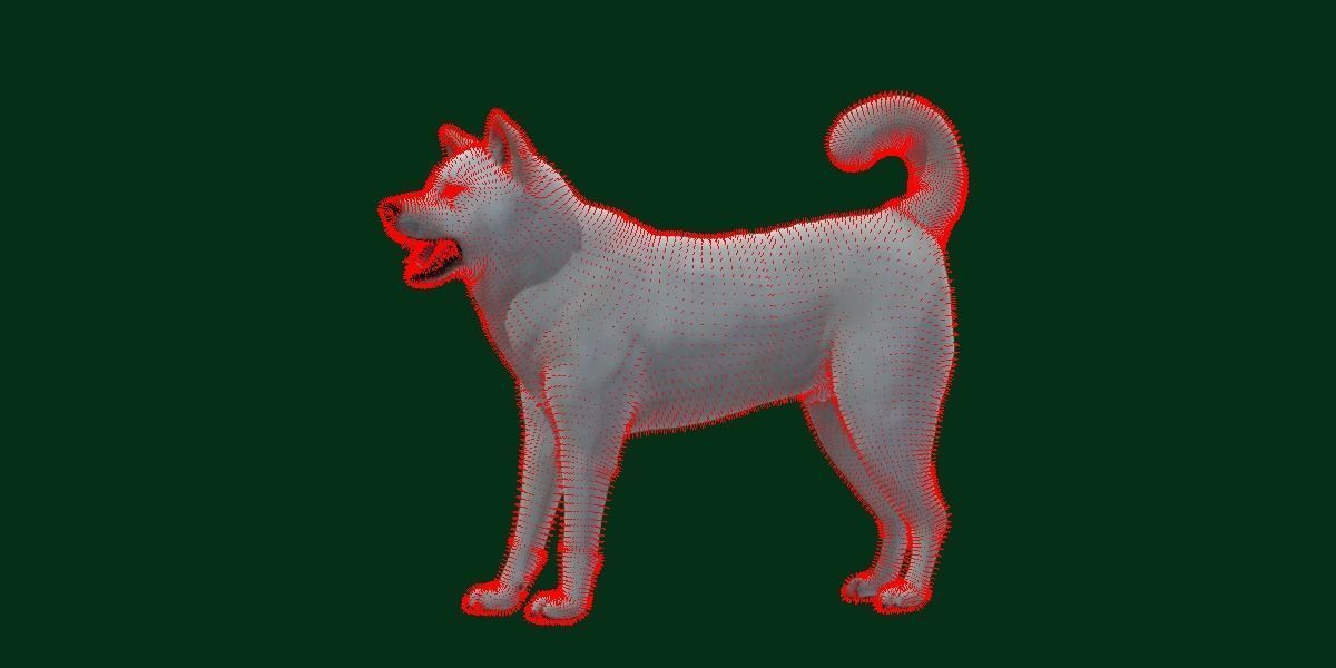 Kishu Inu Japan Dog Breed  3D model_5