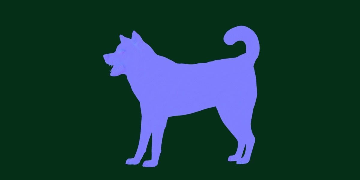 Kishu Inu Japan Dog Breed  3D model_12