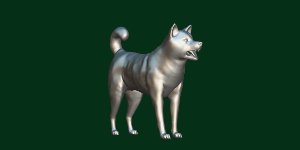 Kishu Inu Japan Dog Breed  3D model_16