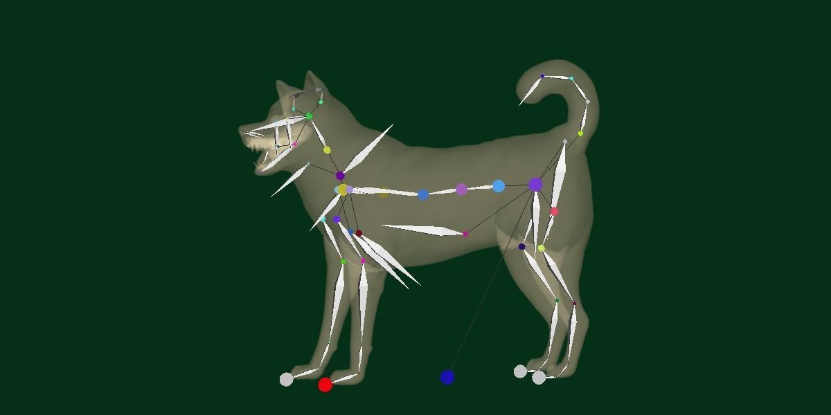 Kishu Inu Japan Dog Breed  3D model_9