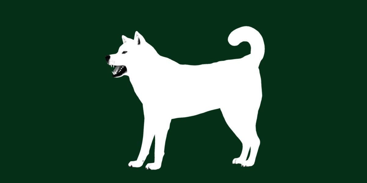 Kishu Inu Japan Dog Breed  3D model_13