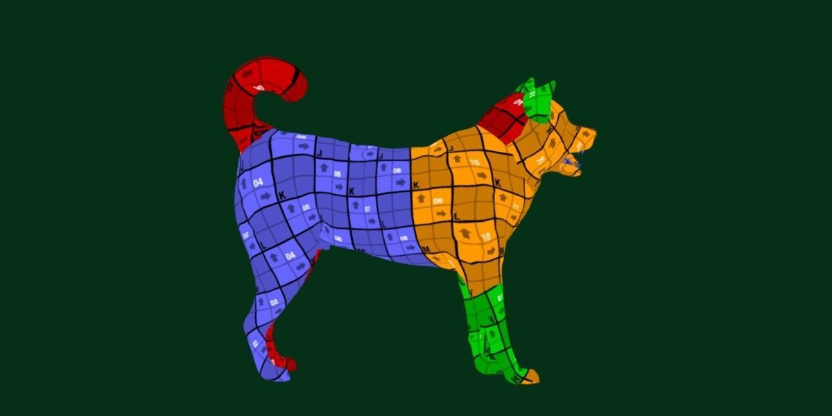 Kishu Inu Japan Dog Breed  3D model_7