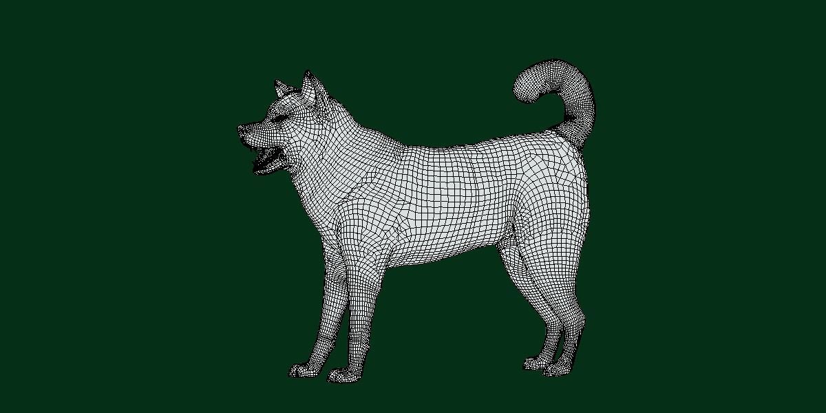 Kishu Inu Japan Dog Breed  3D model_4