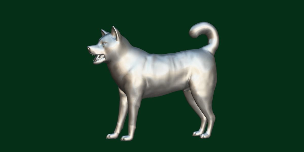 Kishu Inu Japan Dog Breed  3D model_15