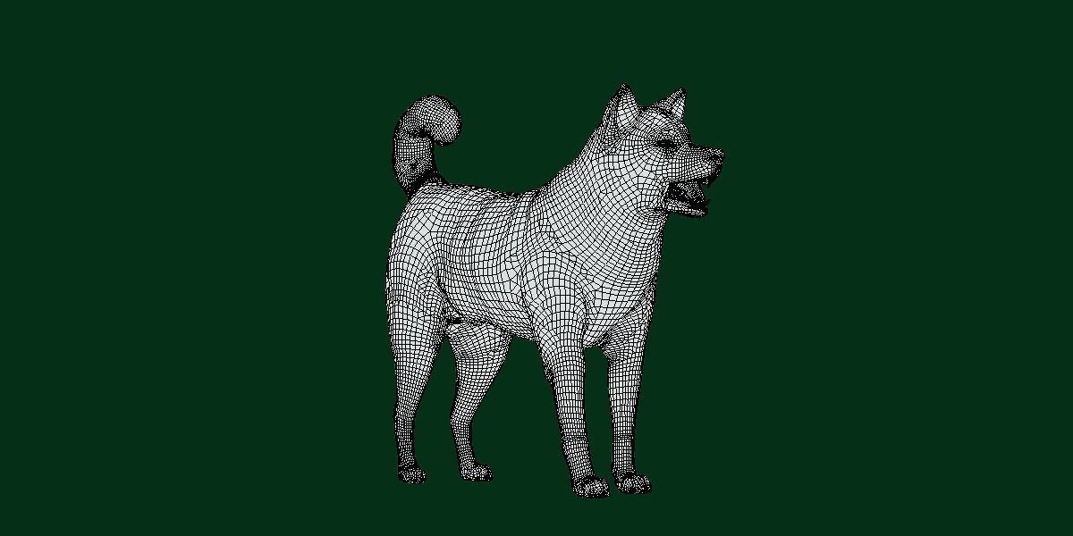 Kishu Inu Japan Dog Breed  3D model_3