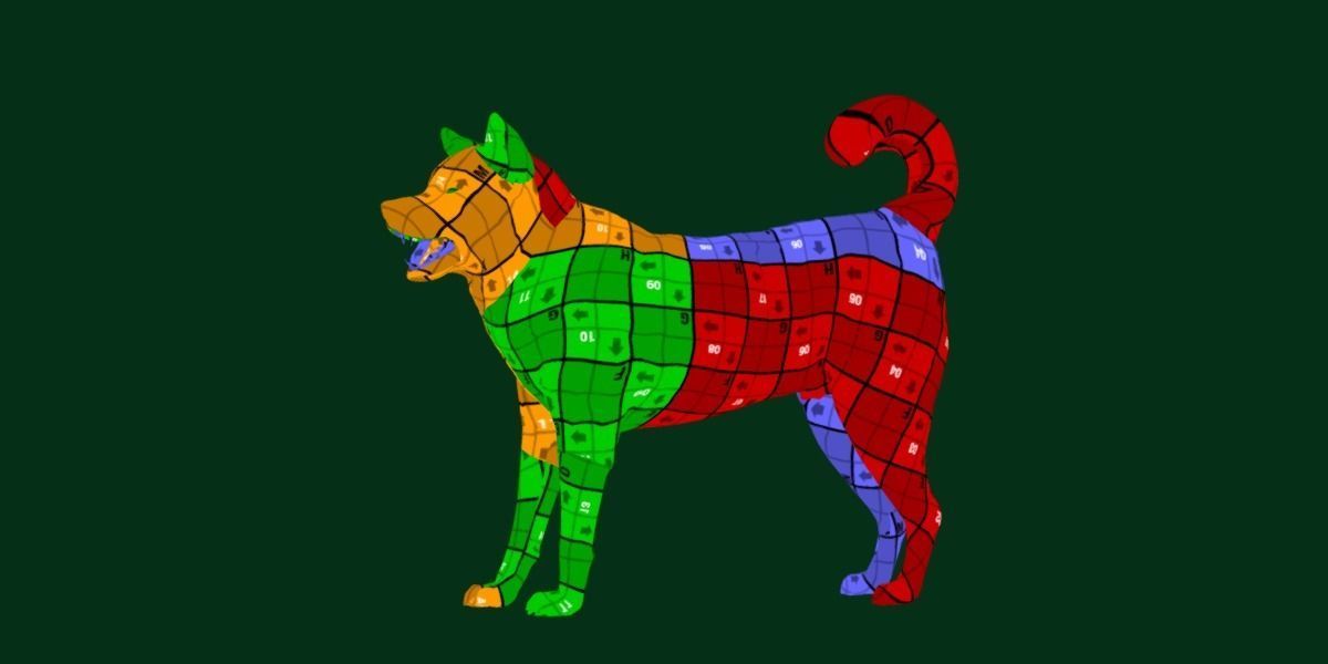 Kishu Inu Japan Dog Breed  3D model_6