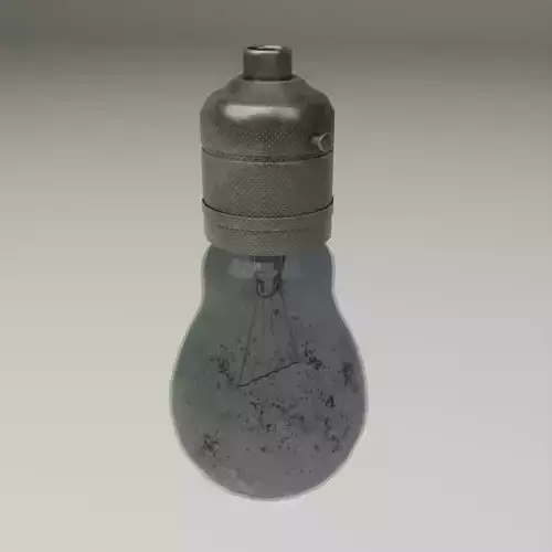 Vintage incandescent lightbulb and holder