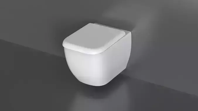 WC29 Toilet