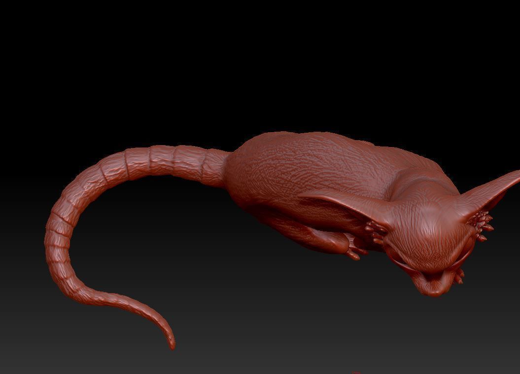 Fantastic cat 3D print model_6