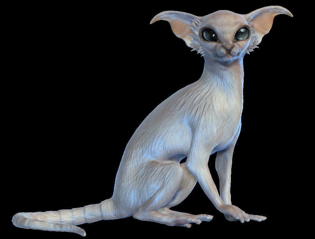 Fantastic cat 3D print model_1