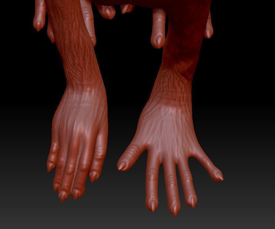 Fantastic cat 3D print model_5