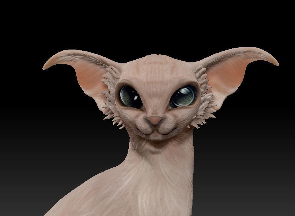 Fantastic cat 3D print model_8