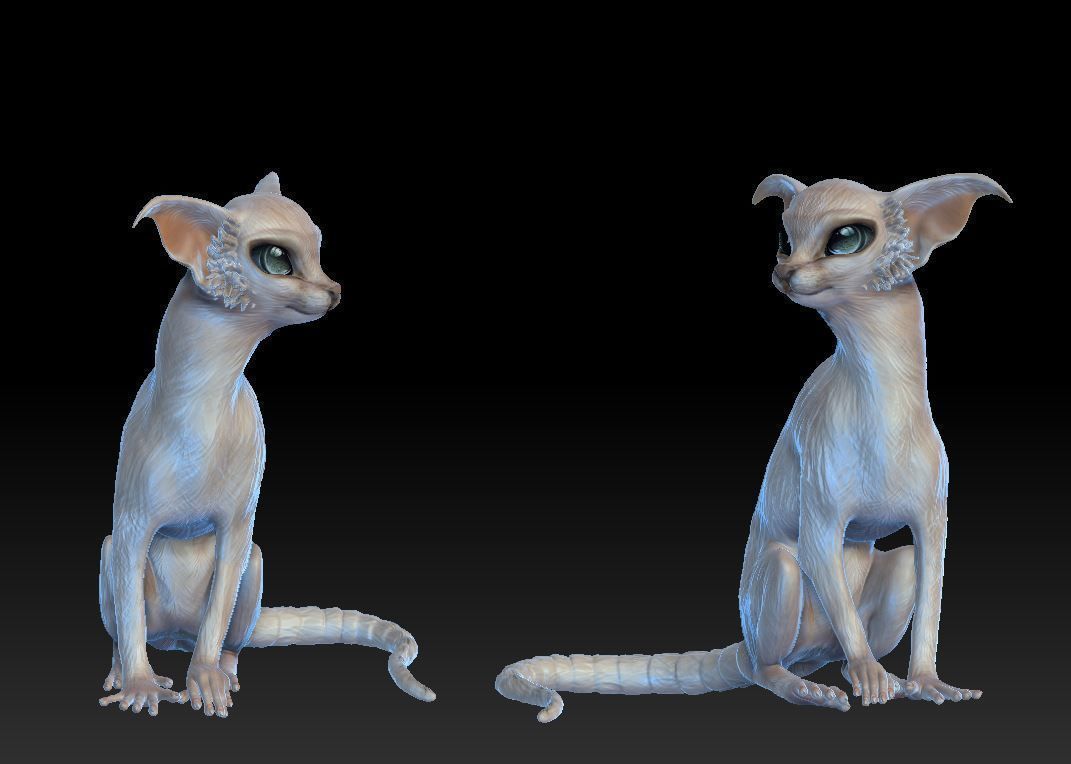 Fantastic cat 3D print model_10
