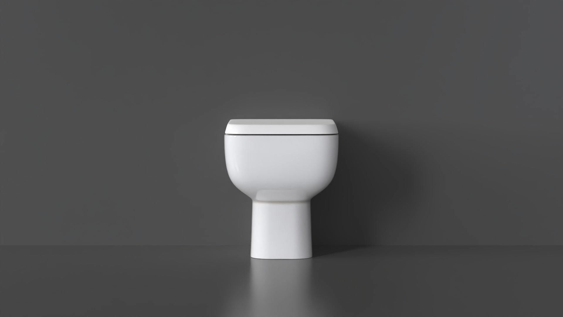 WC30 Toilet 3D model_4