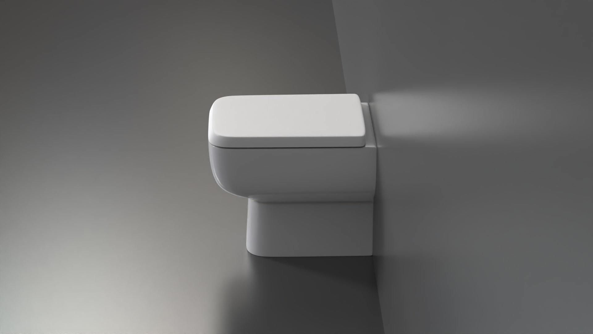 WC30 Toilet 3D model_7