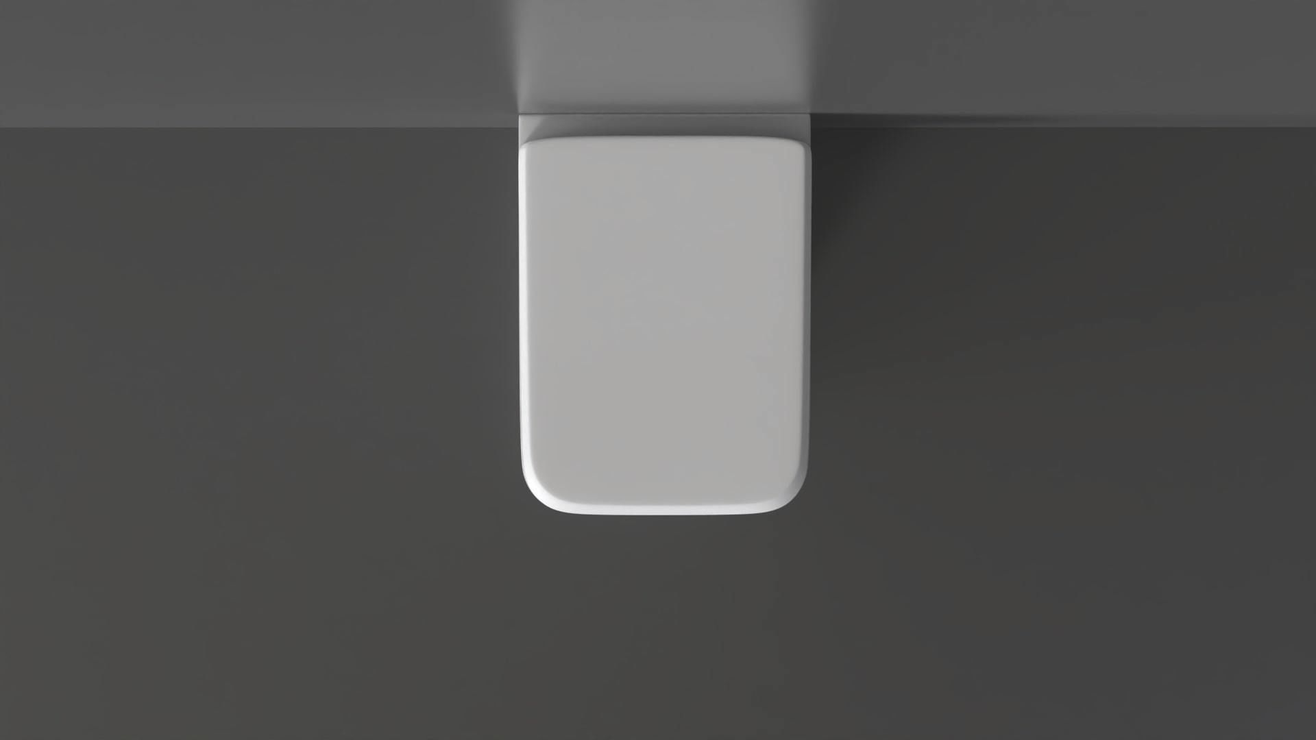 WC30 Toilet 3D model_6