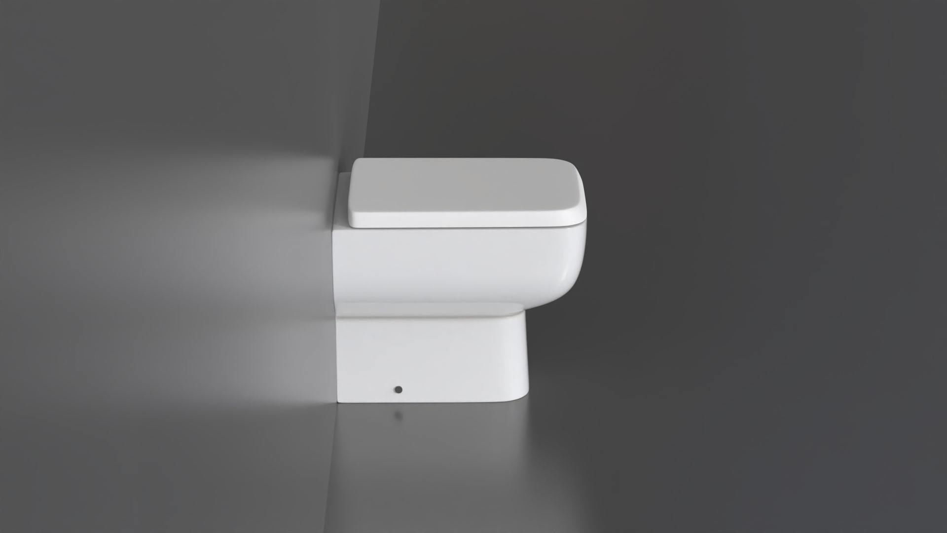 WC30 Toilet 3D model_8