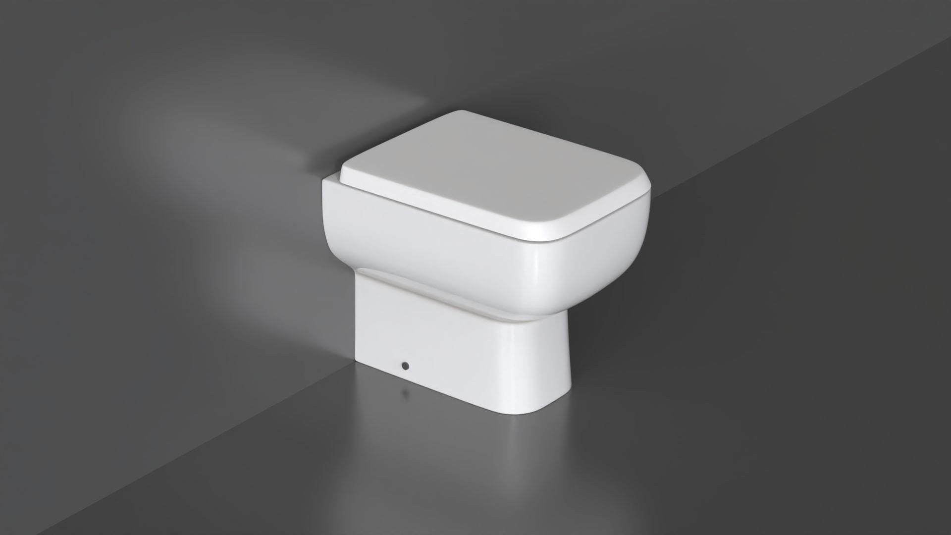 WC30 Toilet 3D model_1