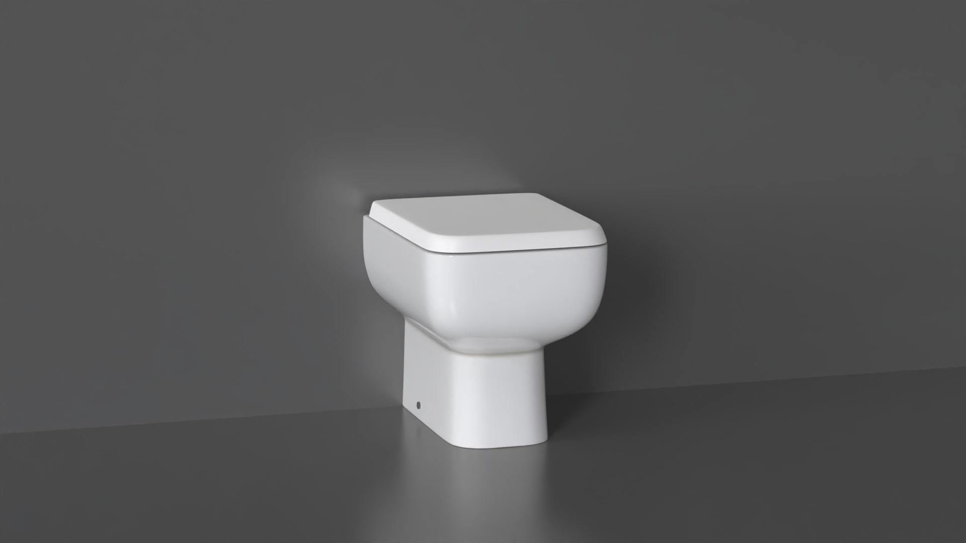 WC30 Toilet 3D model_3