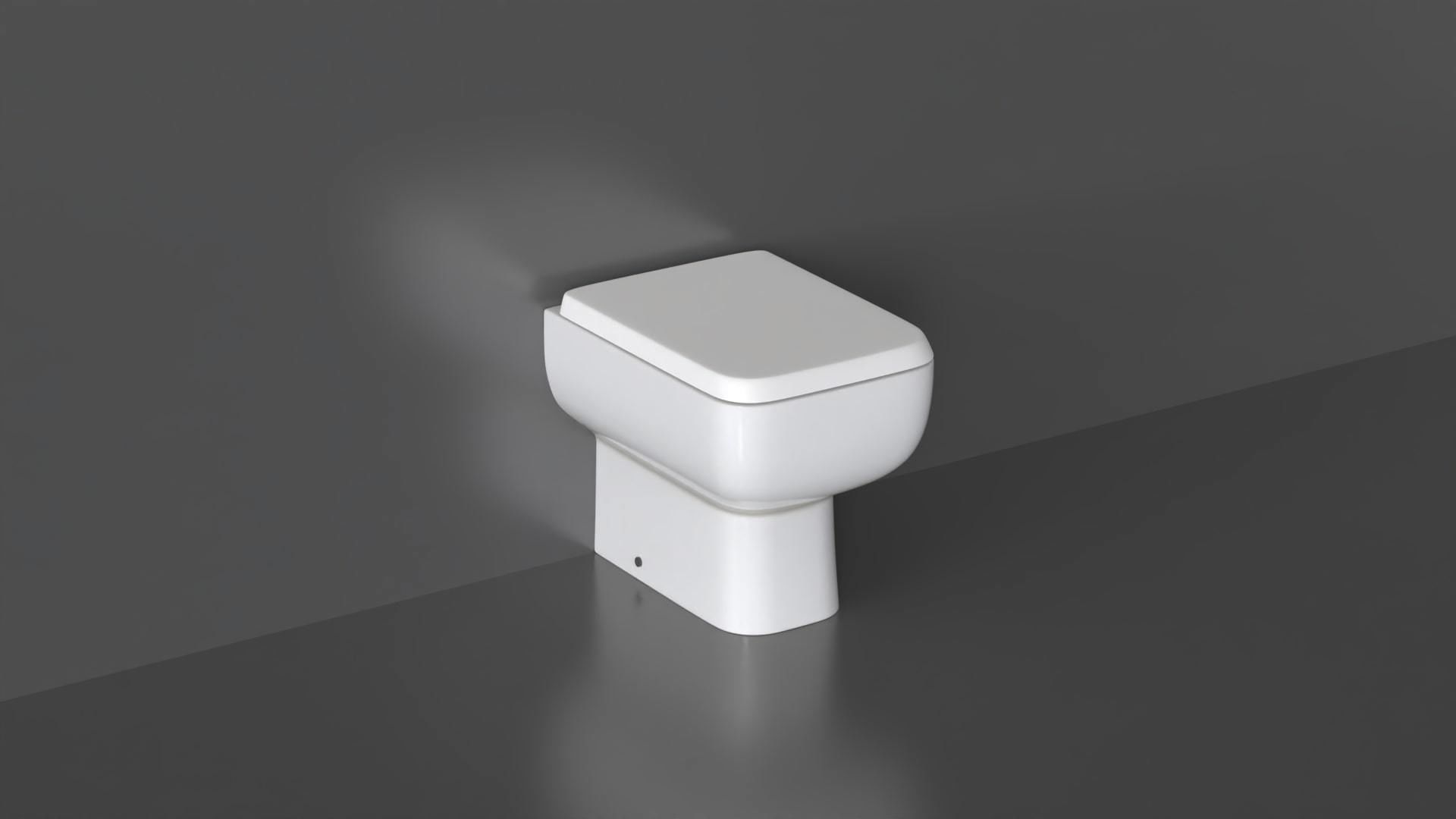 WC30 Toilet 3D model_2