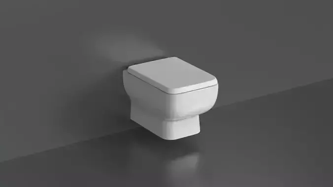WC31 Toilet