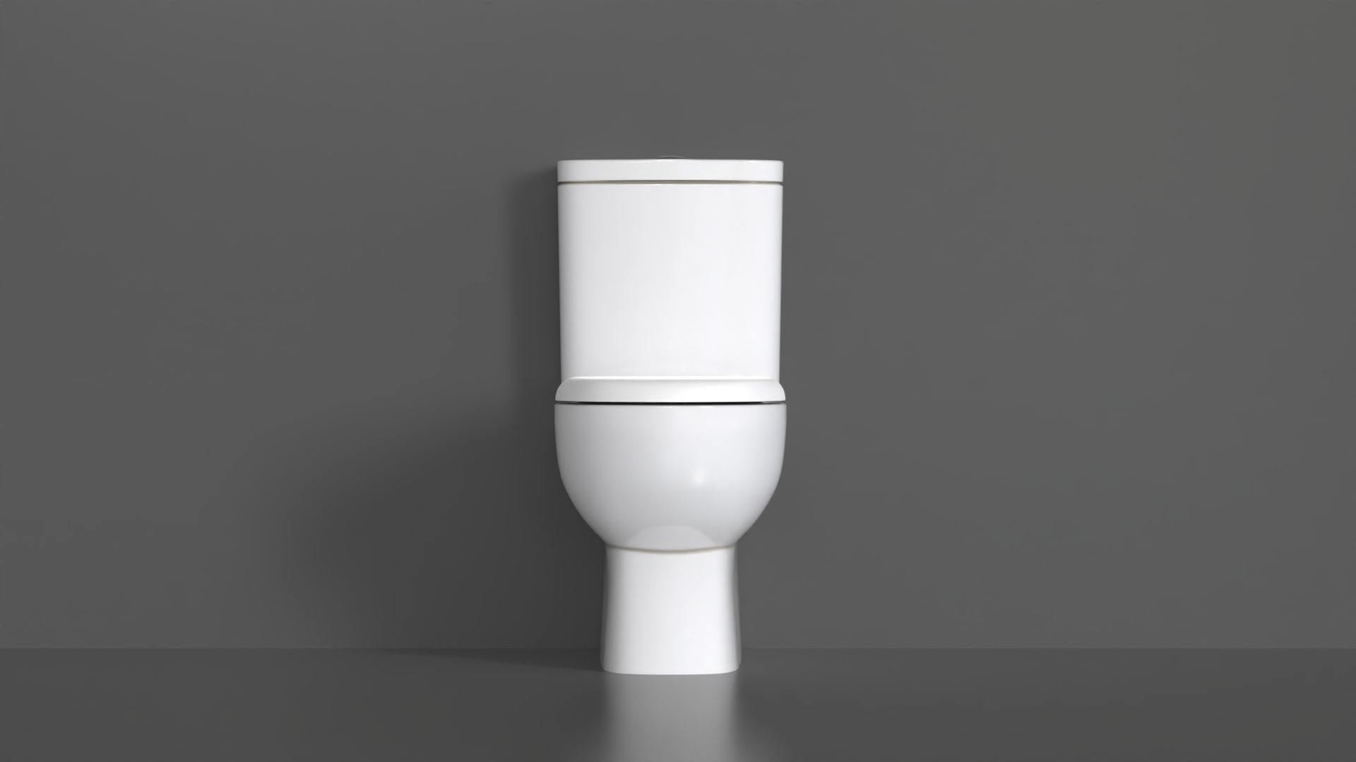 WC32 Toilet 3D model_4