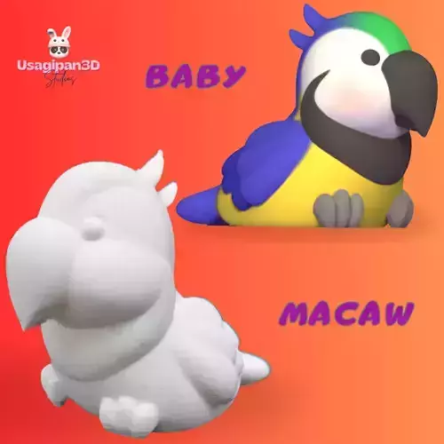 Baby Macaw