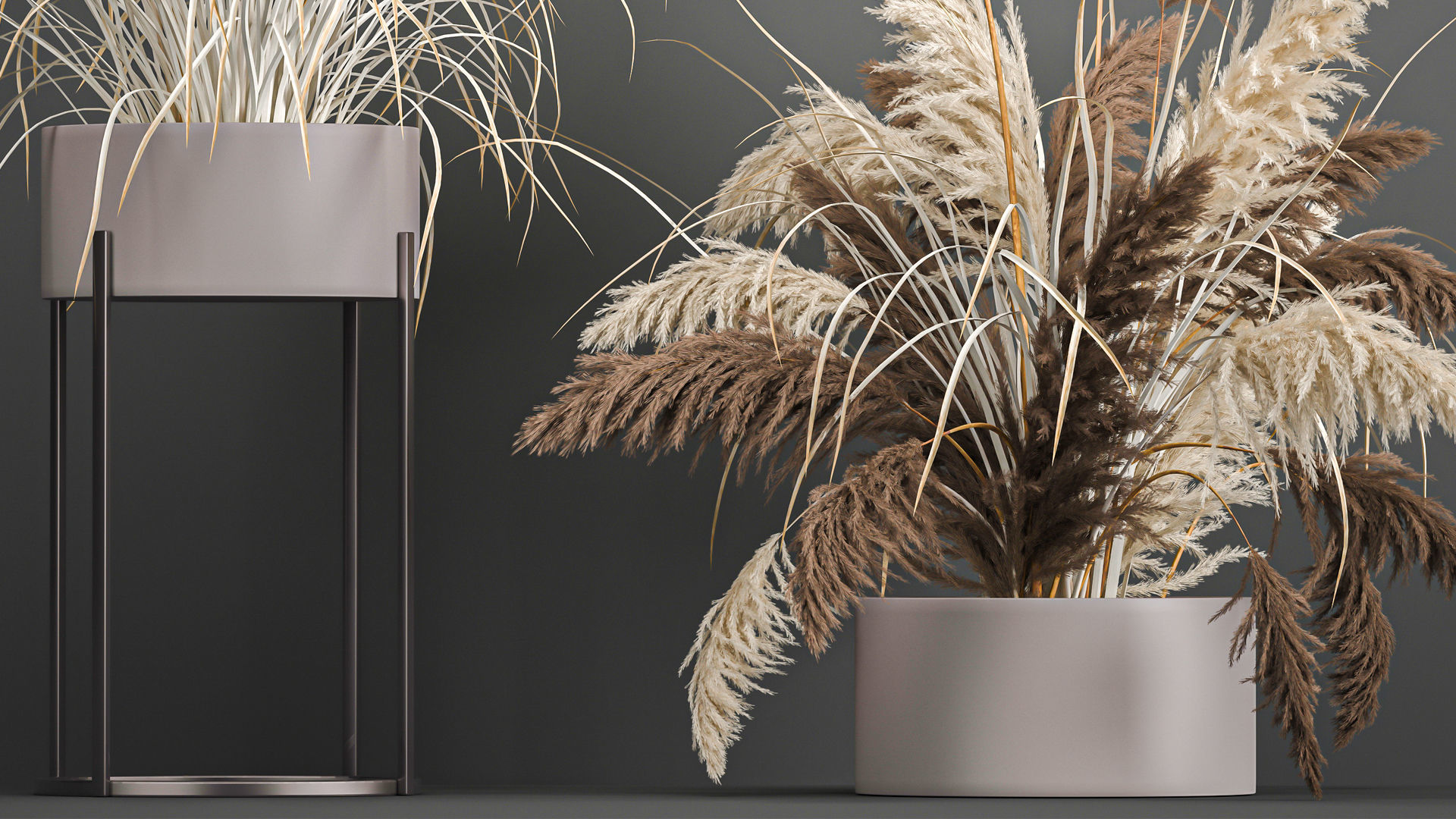 Collection of bouquets of dried flowers pampas Cortaderie reeds _23