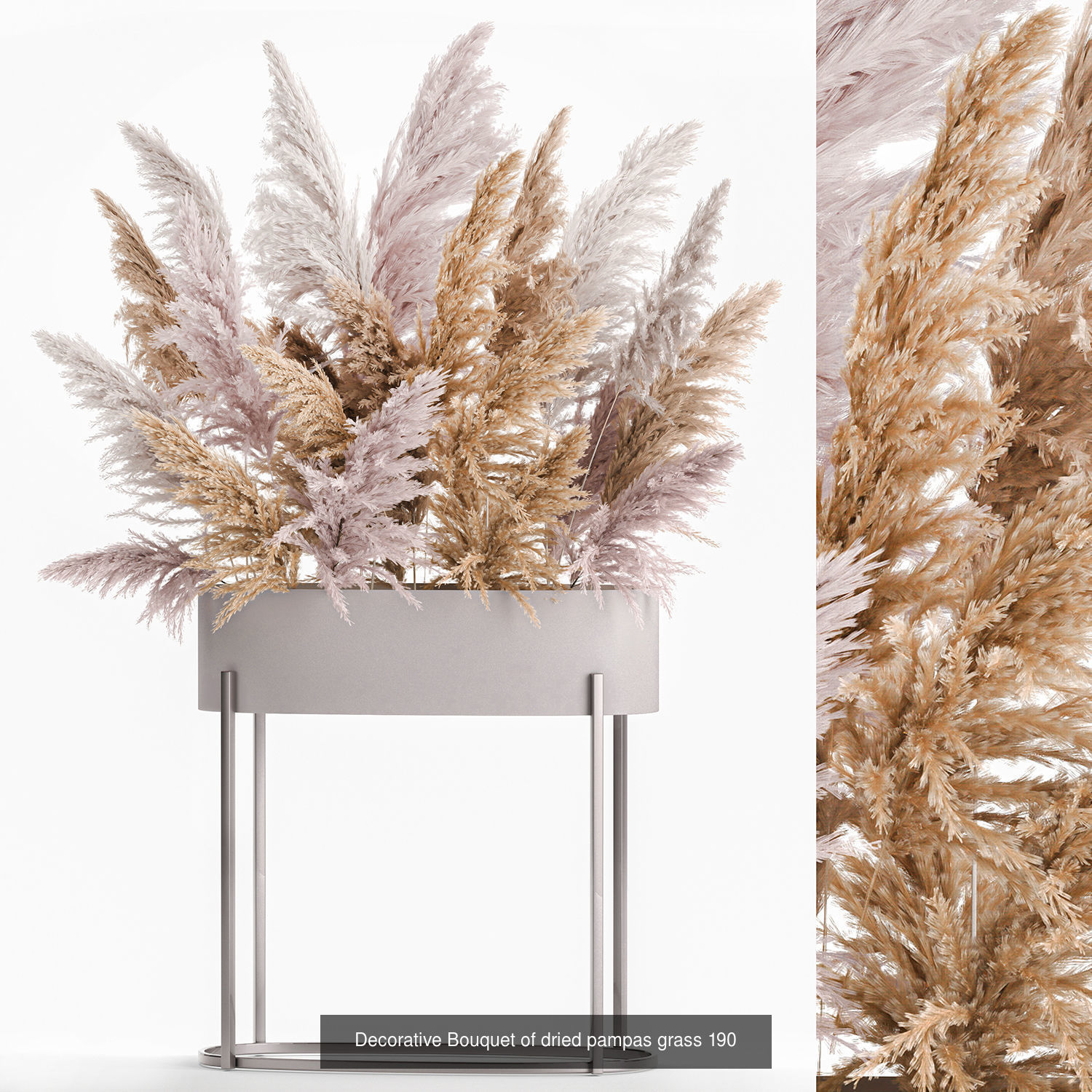 Collection of bouquets of dried flowers pampas Cortaderie reeds _4