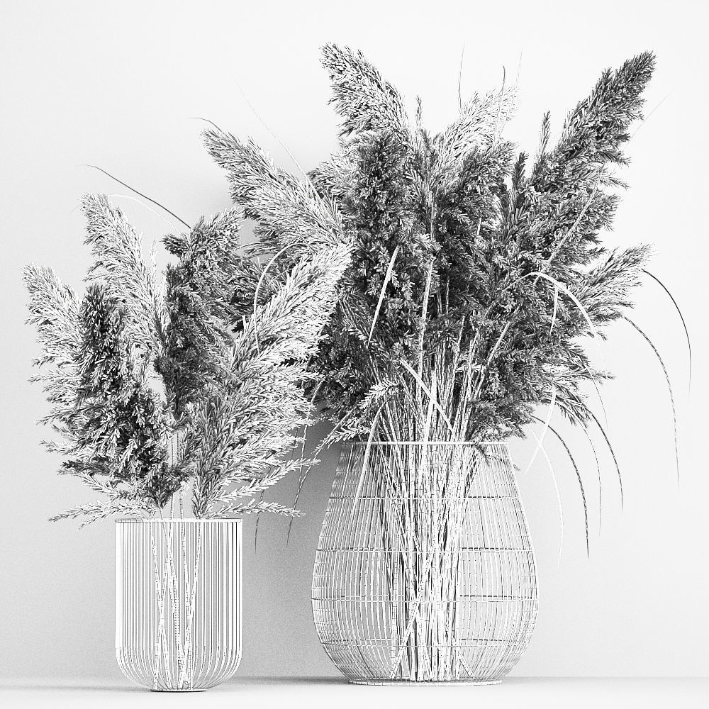 Collection of bouquets of dried flowers pampas Cortaderie reeds _27