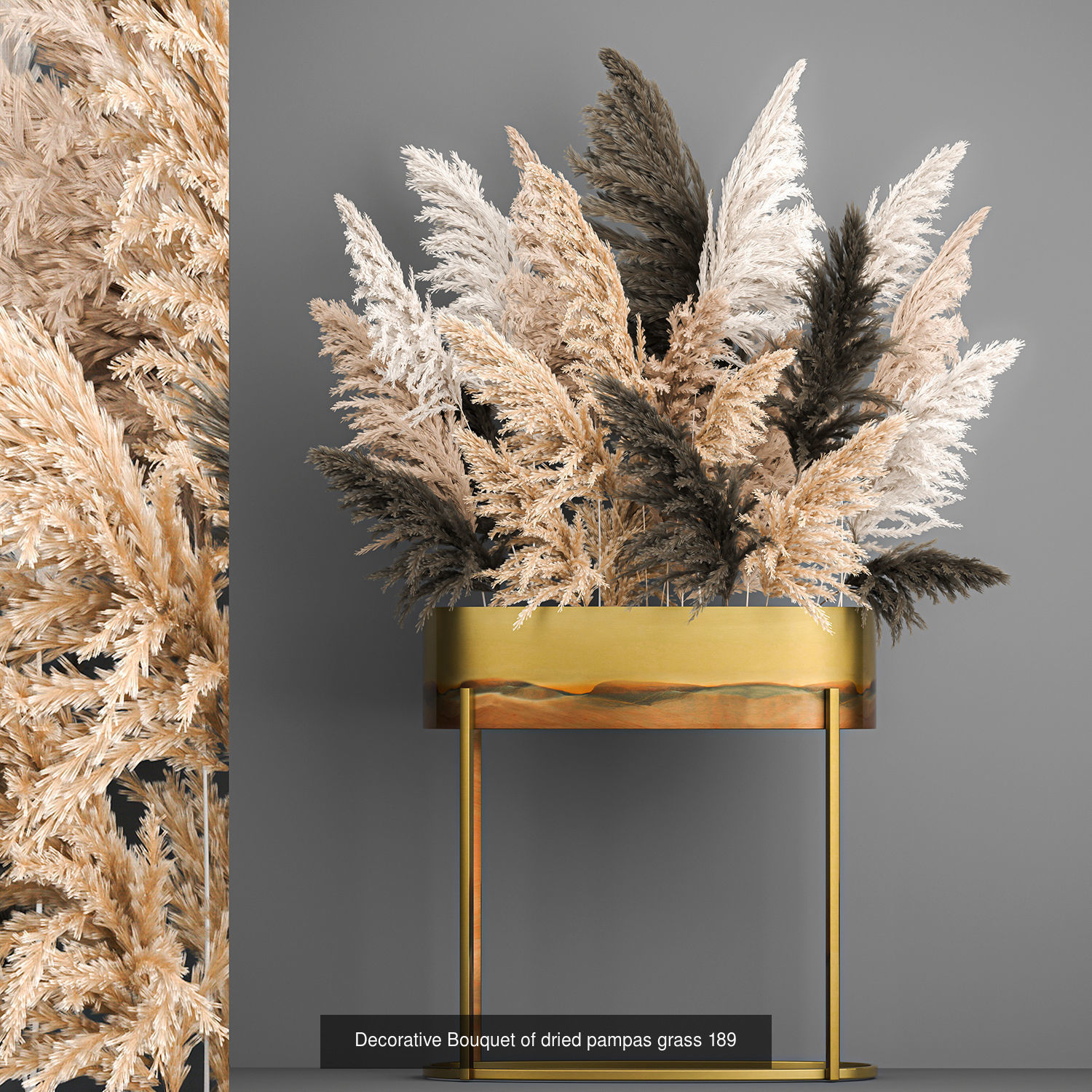 Collection of bouquets of dried flowers pampas Cortaderie reeds _3