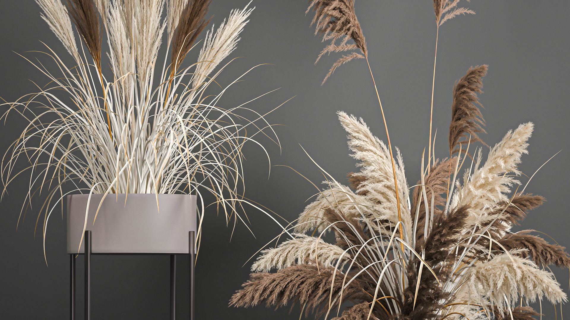 Collection of bouquets of dried flowers pampas Cortaderie reeds _20