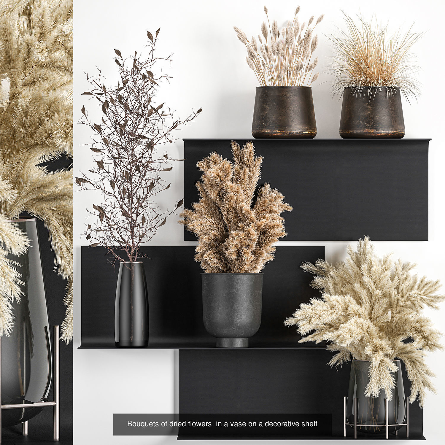 Collection of bouquets of dried flowers pampas Cortaderie reeds _1