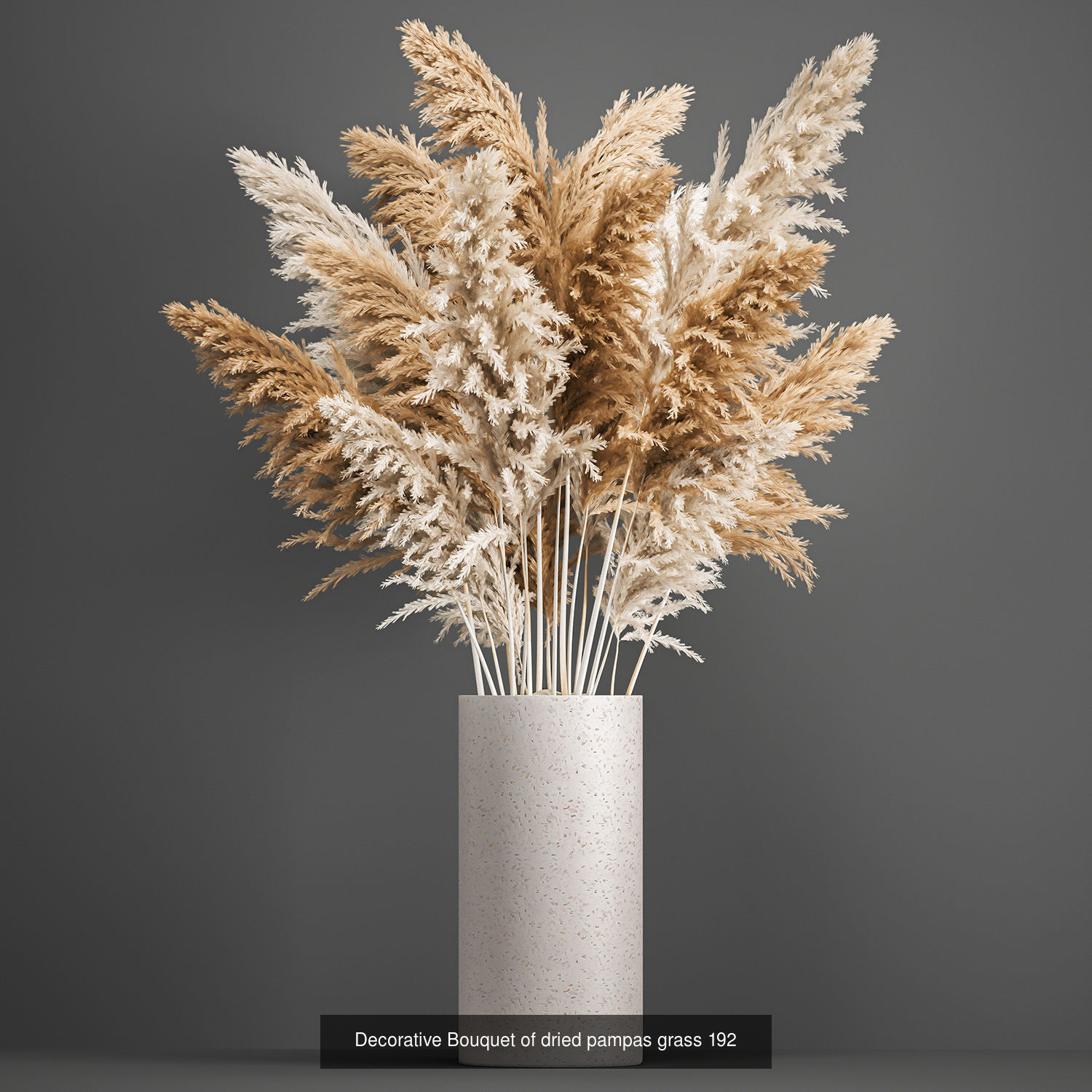 Collection of bouquets of dried flowers pampas Cortaderie reeds _5