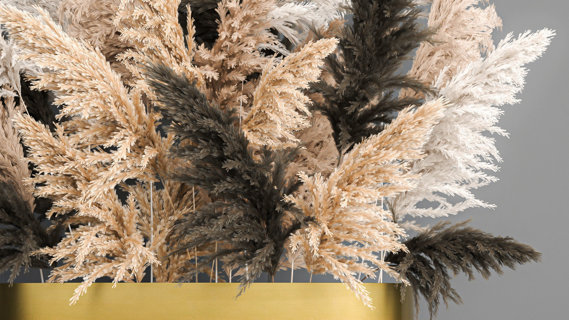 Collection of bouquets of dried flowers pampas Cortaderie reeds _13