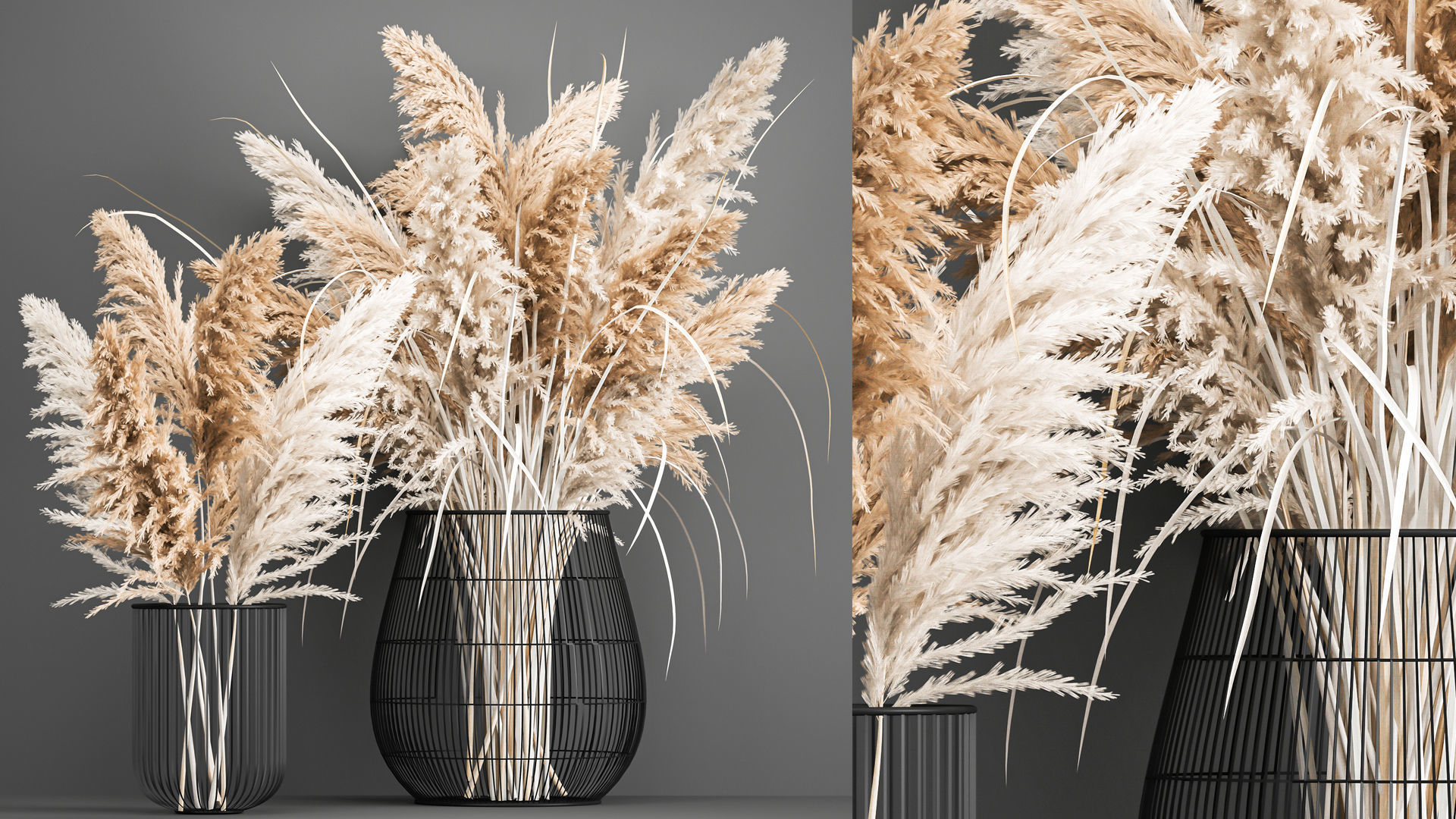 Collection of bouquets of dried flowers pampas Cortaderie reeds _15